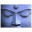 iWisdom 3.00 iWisdom 3.00 32x32 pixels icon